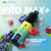 Hayati Pro Max + 6000 Puffs  | Best Price | UK | Vapes Wholesale - vapeswholesale