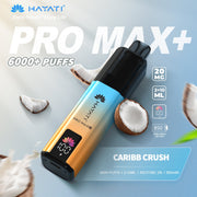 Hayati Pro Max + 6000 Puffs  | Best Price | UK | Vapes Wholesale - vapeswholesale